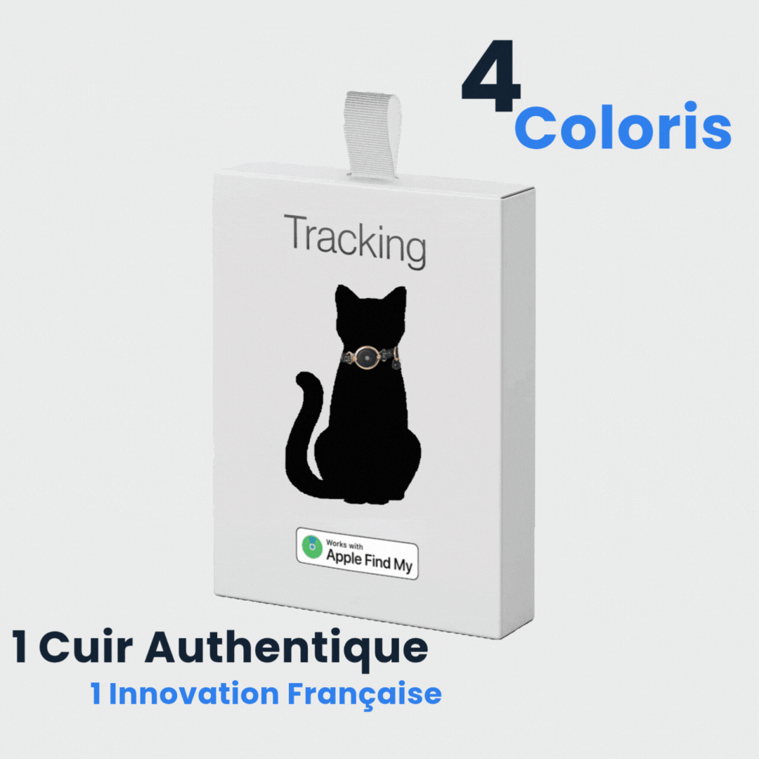 FYND Cats - Le collier pensé pour les chats qui sortent.