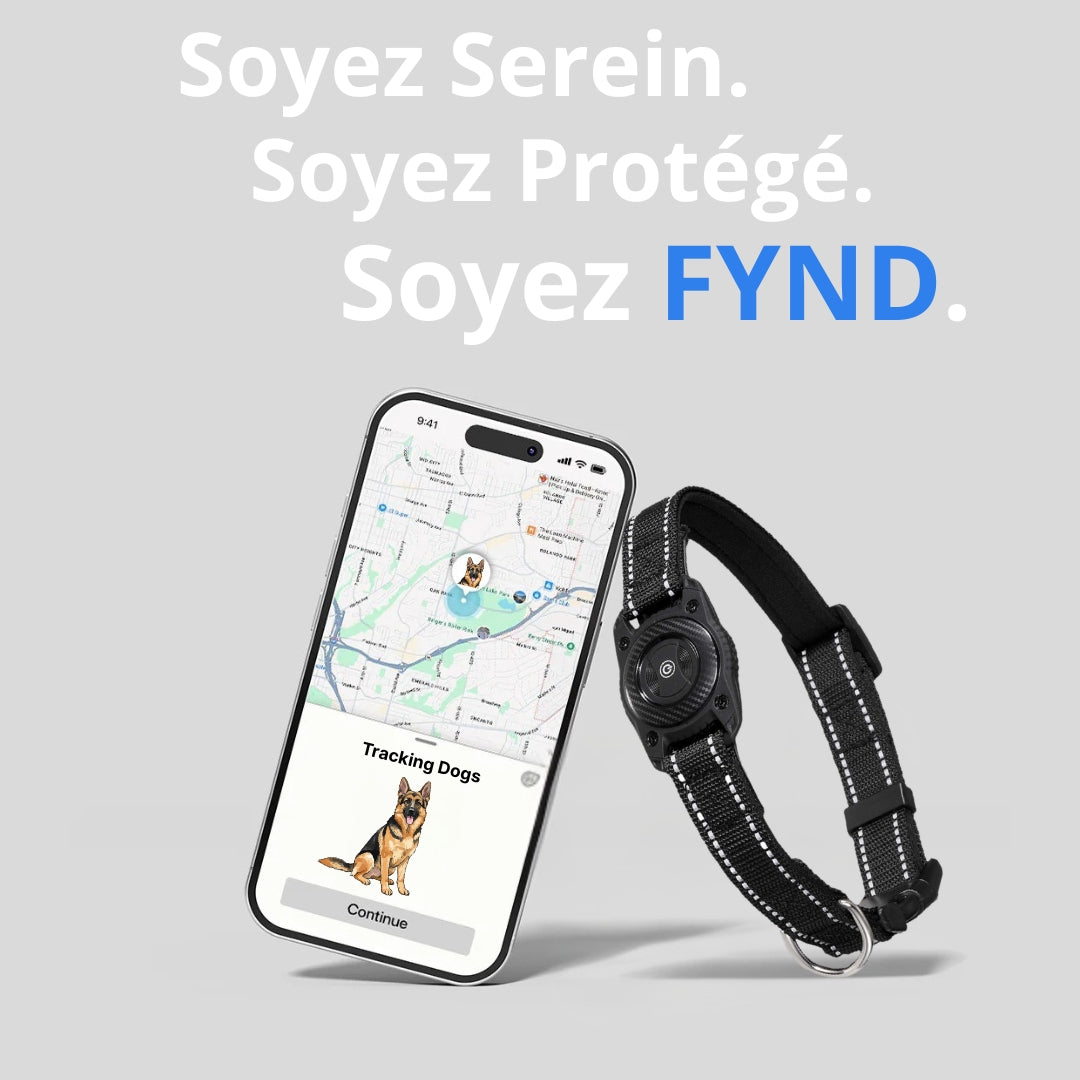FYND Dogs – Le collier pensé pour les chiens qui explorent.